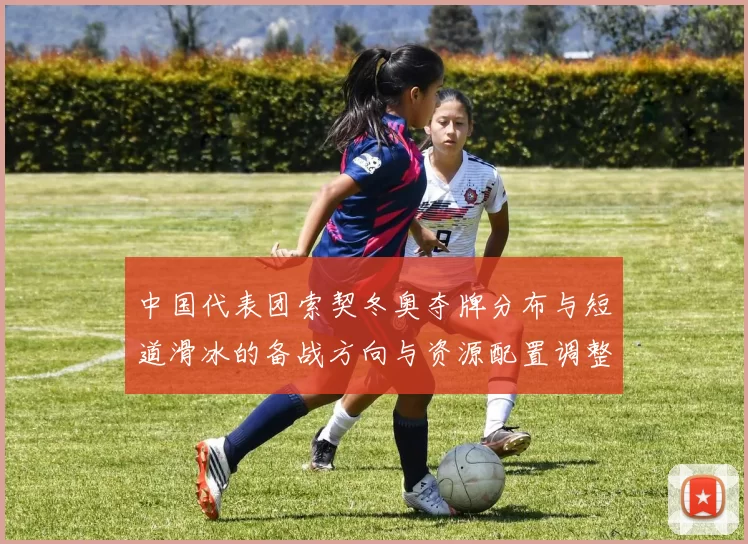 中国代表团索契冬奥夺牌分布与短道滑冰的备战方向与资源配置调整