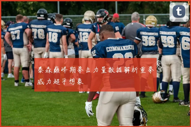 泰森巅峰期拳击力量数据解析重拳威力超乎想象