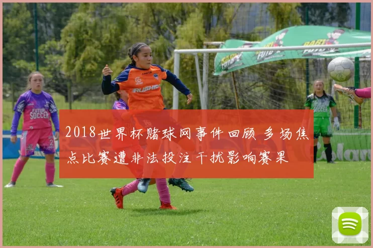 2018世界杯赌球网事件回顾 多场焦点比赛遭非法投注干扰影响赛果