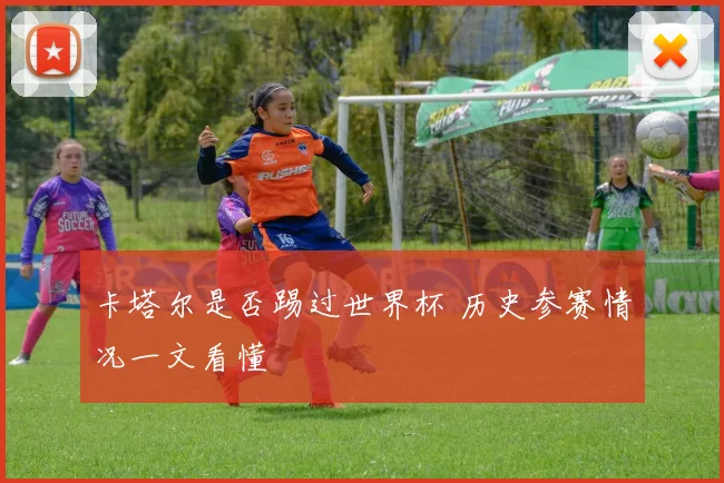 卡塔尔是否踢过世界杯 历史参赛情况一文看懂