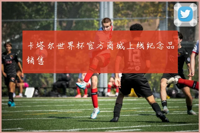 卡塔尔世界杯官方商城上线纪念品销售