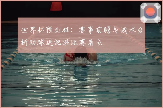 世界杯预测猫:赛事前瞻与战术分析助球迷把握比赛看点